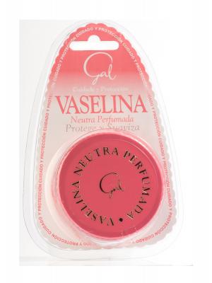 Vaselina gal perfumada grande 40ml
