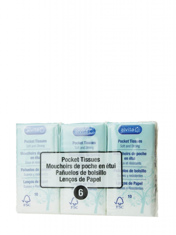 Alvita pañuelos bolsillo 6x10 pañuelos