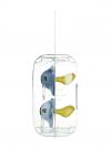 Suavinex 2 chupetes azules evolution liberty