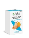 Arkopharma arkocápsulas cúrcuma bio 40 cápsulas